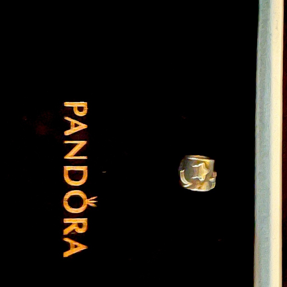 Pandora Charm